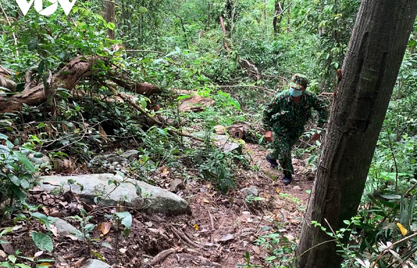 Những bất cập trong công tác bảo vệ rừng ở Ea Sô -0