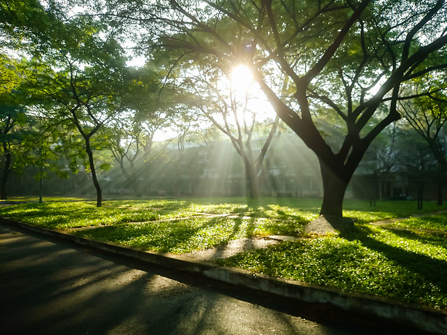 Hà Nội đầu tuần khi mưa lúc nắng -0