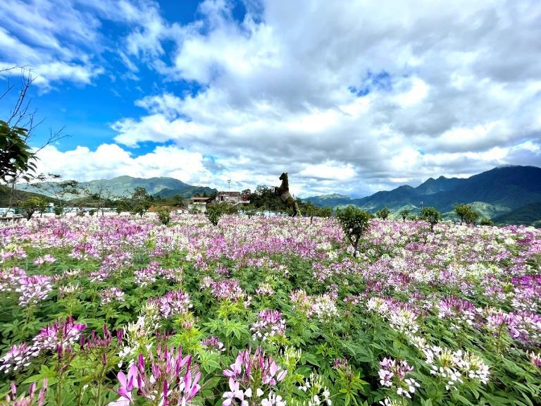 Một Sa Pa rực rỡ và nên thơ đến mê mẩn….! -0