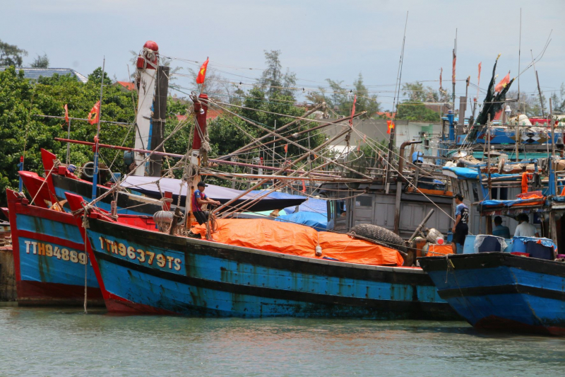 Các tỉnh ven biển miền Trung triển khai phương án phòng tránh áp thấp nhiệt đới -0