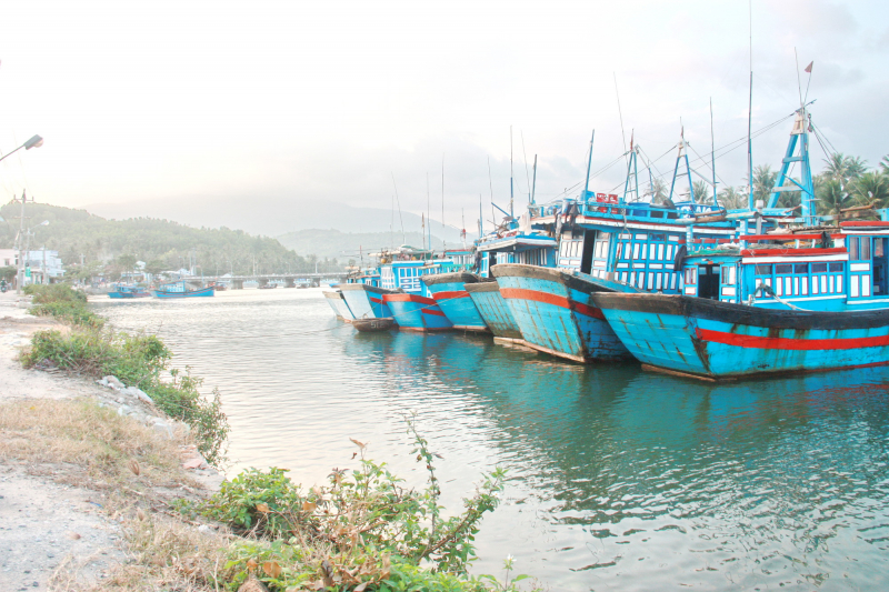 Các tỉnh ven biển miền Trung triển khai phương án phòng tránh áp thấp nhiệt đới -0