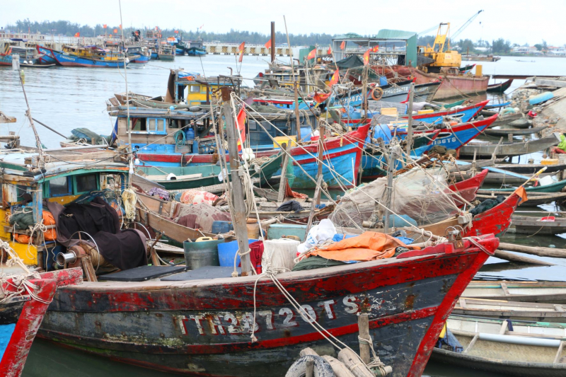 Các tỉnh ven biển miền Trung triển khai phương án phòng tránh áp thấp nhiệt đới -0