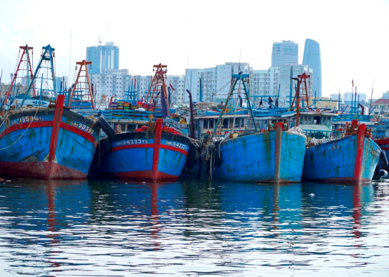 Áp thấp nhiệt đới khả năng thành bão, Đà Nẵng nghiêm cấm tàu thuyền ra khơi -0