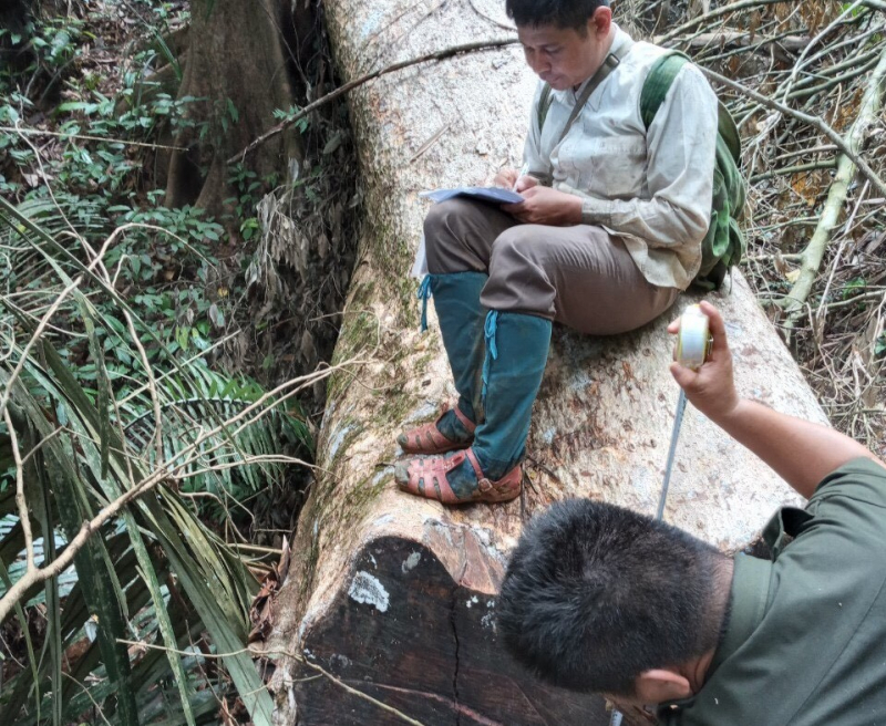 Làm rõ trách nhiệm cá nhân, tập thể để xảy ra phá rừng phòng hộ A Lưới -0