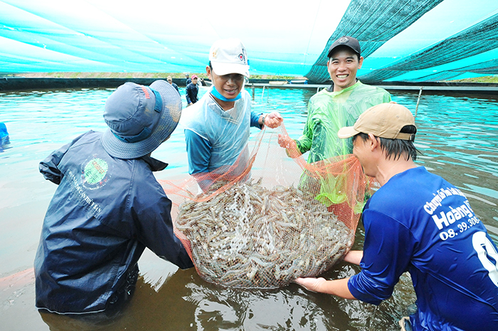 Các tỉnh miền Tây khôi phục sản xuất, khơi dòng lưu thông hàng hóa -0