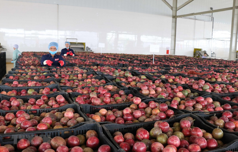 doveco-gia-lai-di-vao-hoat-dong-4.jpeg -0