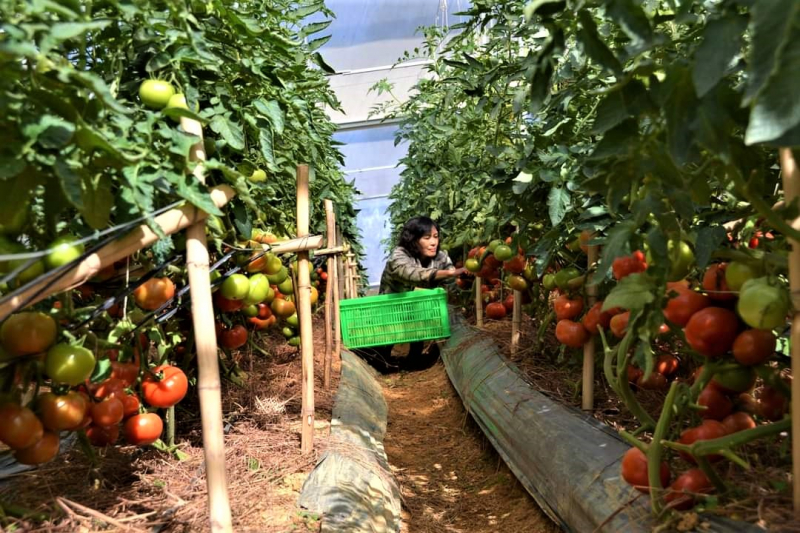 doanhnghiep 3.jpg -0