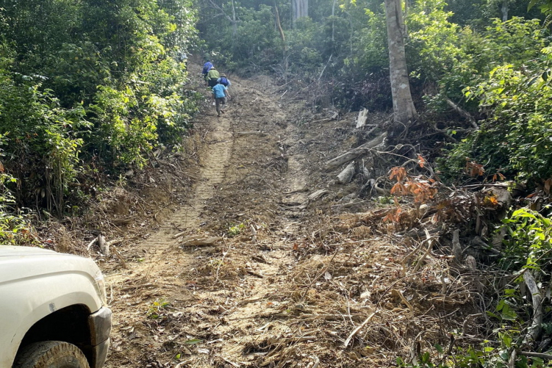 Phú Yên : Bắt tạm giam hai đối tượng đốn hạ hơn 5ha rừng Hòn Đót do PV Báo CAND phát hiện -0