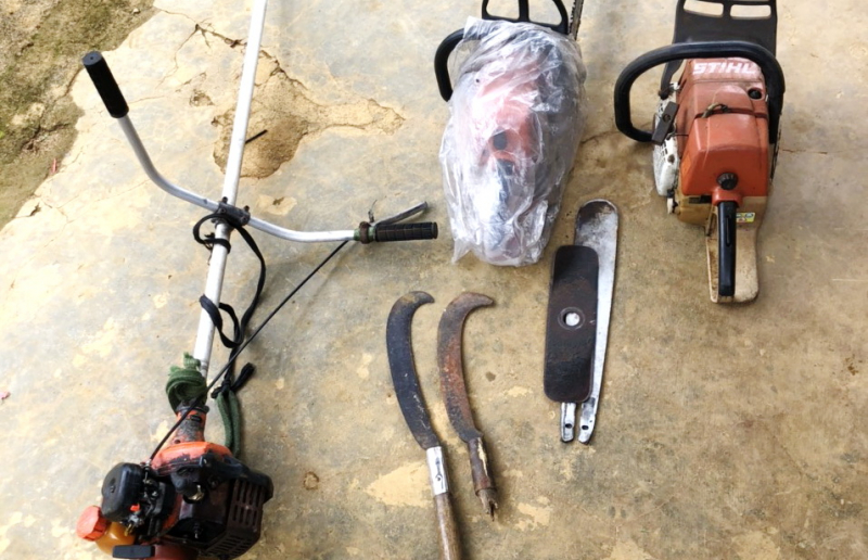     Tạm giữ hình sự đối tượng chủ mưu đốn hạ 3,7 ha rừng tự nhiên -1