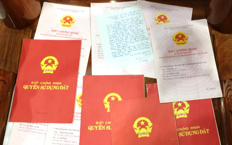     Tạm giữ hình sự đối tượng chủ mưu đốn hạ 3,7 ha rừng tự nhiên -0