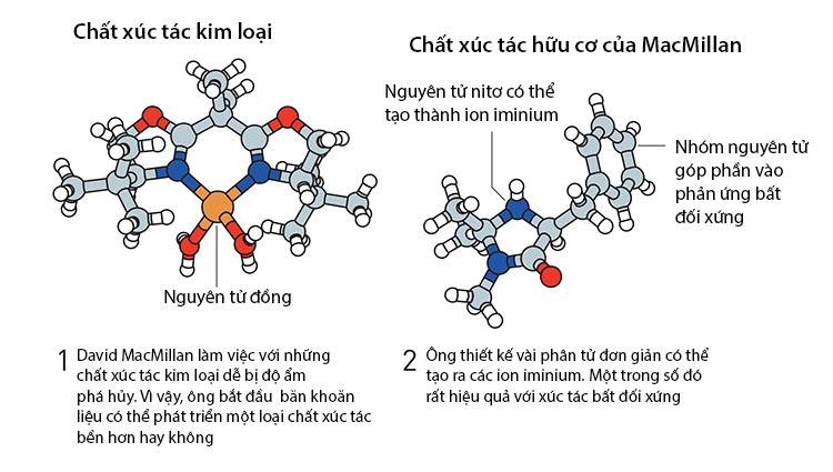 Công trình đoạt giải Nobel hoá học 2021: “Chiếc đũa thần” gieo mầm xanh bền vững -0
