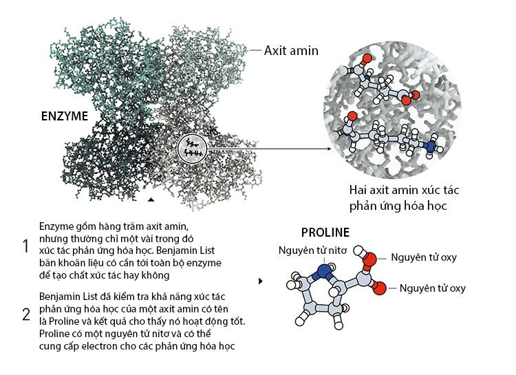 Công trình đoạt giải Nobel hoá học 2021: “Chiếc đũa thần” gieo mầm xanh bền vững -0