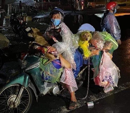 tieu-huy-cho-2-8977-16338422053471509310710-16338589984711208268588.jpeg -0