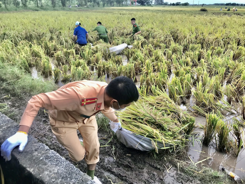 Công an Thái Bình xuống đồng giúp dân