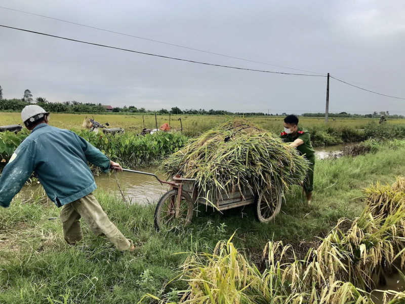 Công an Thái Bình xuống đồng giúp dân