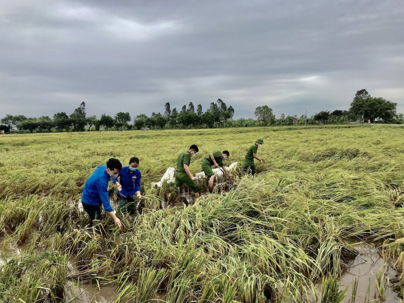 Công an Thái Bình xuống đồng giúp dân