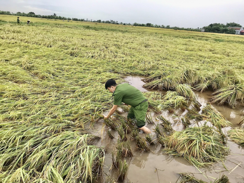 Công an Thái Bình xuống đồng giúp dân
