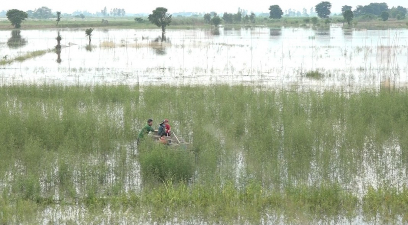 Xao xuyến mùa con nước tràn bờ -0