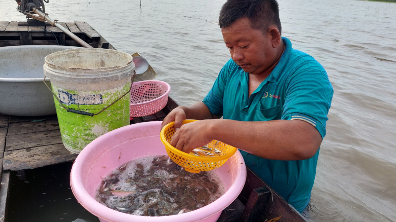 Xao xuyến mùa con nước tràn bờ -0