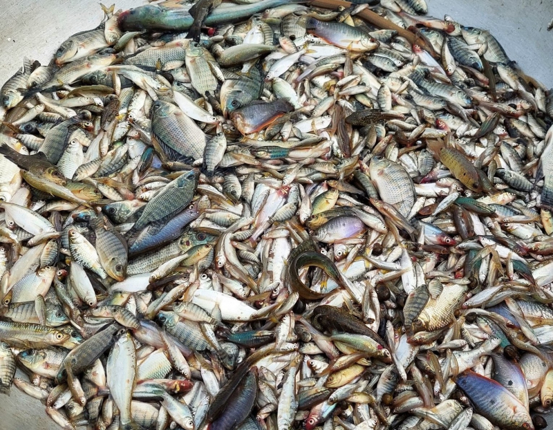 Xao xuyến mùa con nước tràn bờ -0