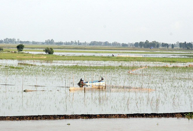 Mùa lũ cạn và câu chuyện sinh kế của người dân vùng đầu nguồn -0