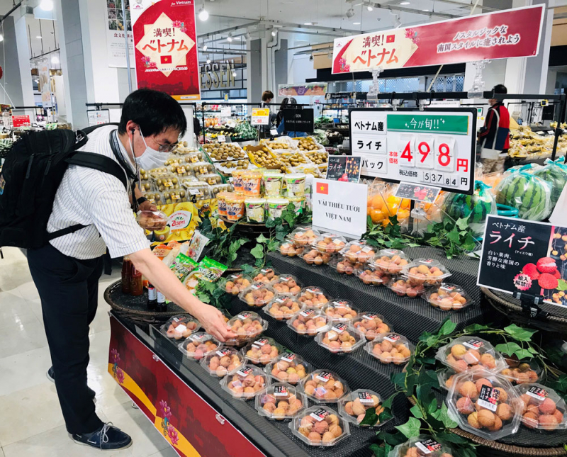 Thương mại điện tử thúc đẩy xuất khẩu hàng hóa ra thị trường thế giới -0