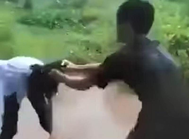 Công an vào cuộc điều tra vụ nữ sinh lớp 9 bị nam sinh lớp 8 hành hung. -0