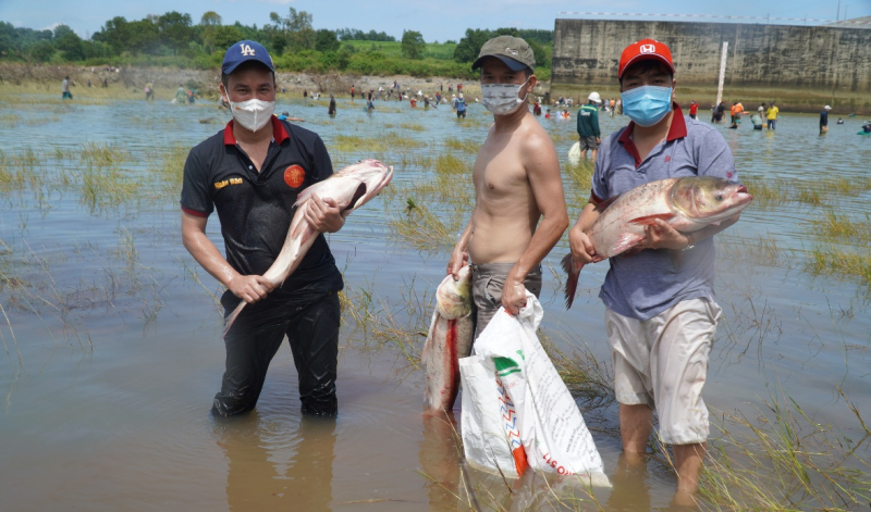Đánh bắt hàng chục tấn cá sông khi Thủy điện Trị An ngưng xả tràn -0