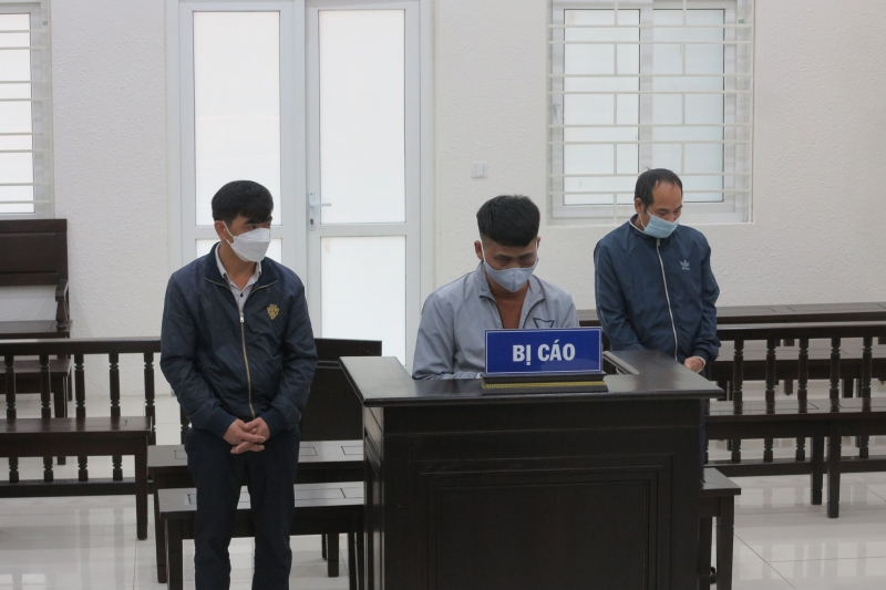 Em rể và anh vợ vào tù vì buôn bán động vật quý hiếm -0