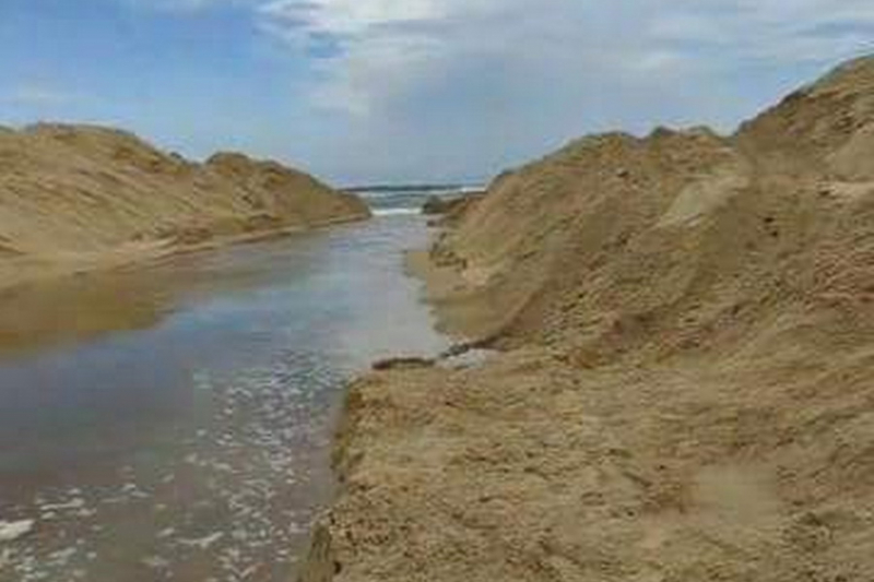 Phú Yên : Hàng trăm ngàn con cá mú bị chết do sốc nước ngọt -0