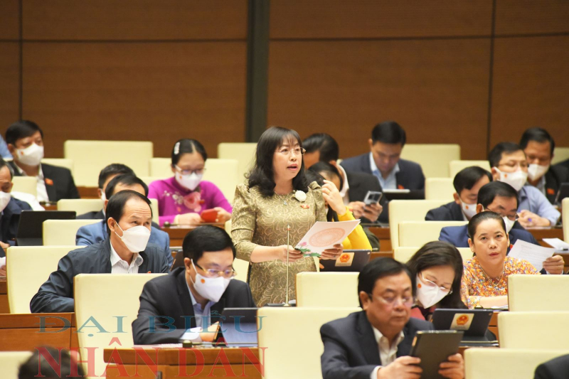 Đại biểu đề nghị thu tiền xét nghiệm sàng lọc, điều trị COVID -19 -0