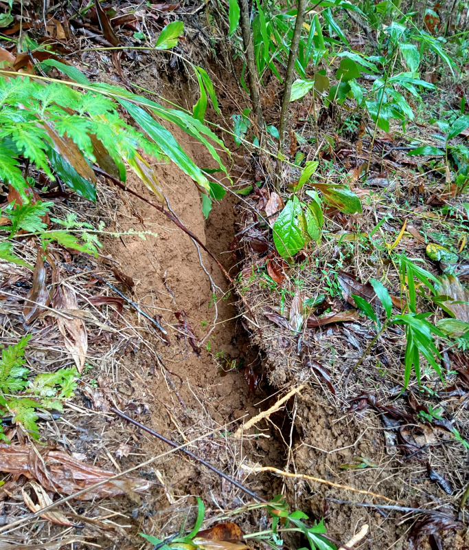 Gần 3.000 người dân xã Trà Leng bị cô lập do sạt lở -0