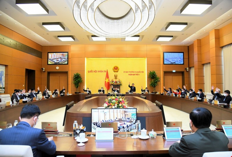 Thường vụ Quốc hội giải thích hành vi cố ý vượt qua cảnh báo, mã truy cập, tường lửa, -0