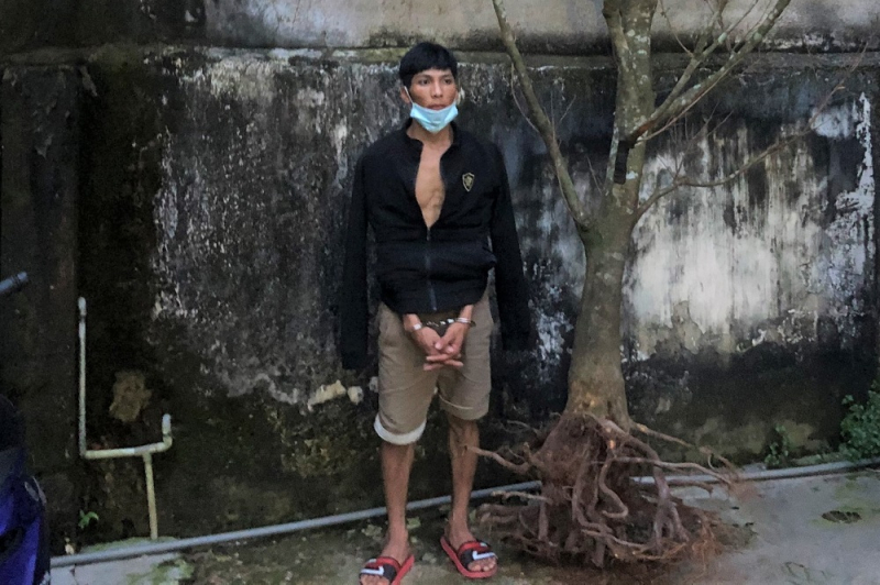 Tóm gọn “đạo chích” trộm 2 cây mai giá trị 40 triệu đồng -0