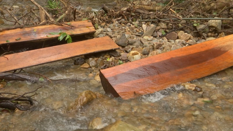 Ai đã tàn sát rừng đại ngàn Khu bảo tồn thiên nhiên Bắc Hướng Hoá? -0