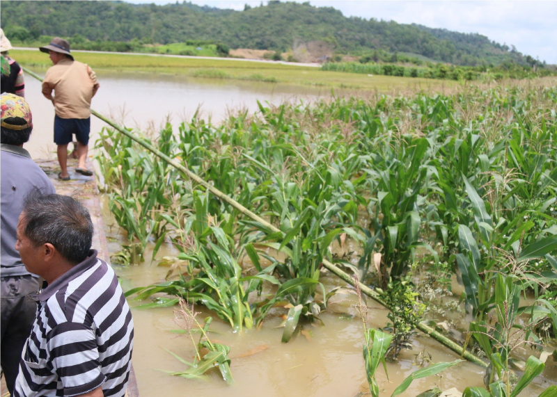 Một phụ nữ mất tích ở khu vực lòng hồ thuỷ lợi Krông Pách thượng -0