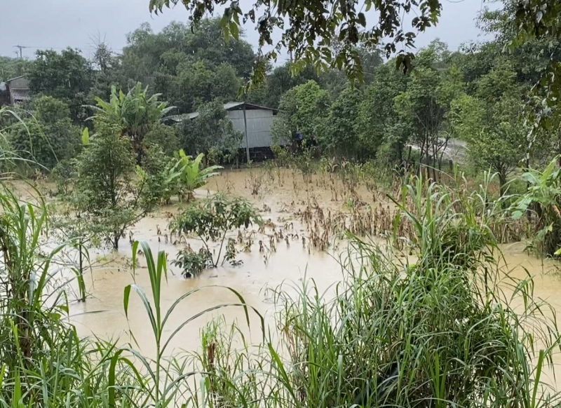 Lập sở chỉ huy sẵn sàng di dời dân trong lòng hồ Krông Pách thương -0