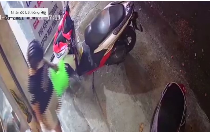 Chờ tối mới đi mua cây cảnh để trộm điện thoại trị giá hơn 30 triệu -1