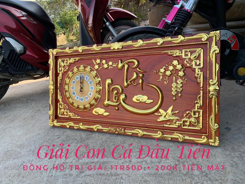 Nở rộ thú chơi câu cá: Đừng biến đam mê thành nỗi buồn -0