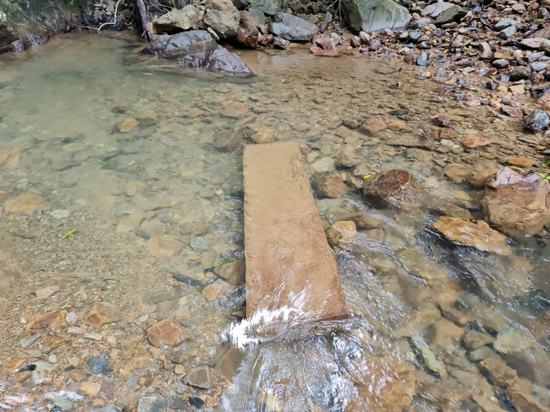 Tiếp tục kiểm tra rừng bảo tồn thiên nhiên Bắc Hướng Hoá, Quảng Trị bị đốn hạ hàng loạt -1