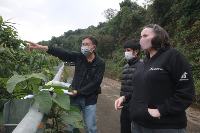 Chung tay bảo tồn loài gấu trước nguy cơ tuyệt chủng -0