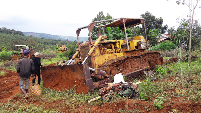 giao rung (6).jpg -0