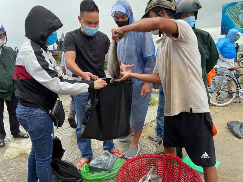 Đà Nẵng tiếp tục chấm dứt nuôi thủy sản tự phát gây ô nhiễm trên các sông  -0