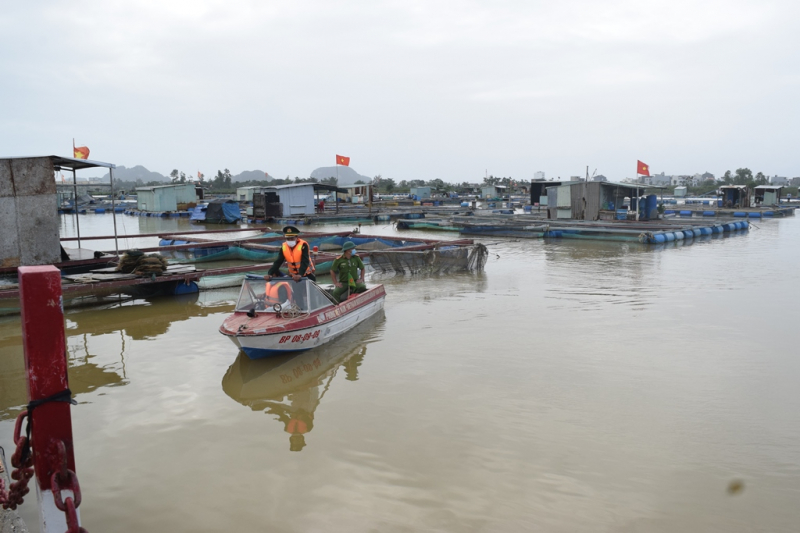 Đà Nẵng tiếp tục chấm dứt nuôi thủy sản tự phát gây ô nhiễm trên các sông  -0