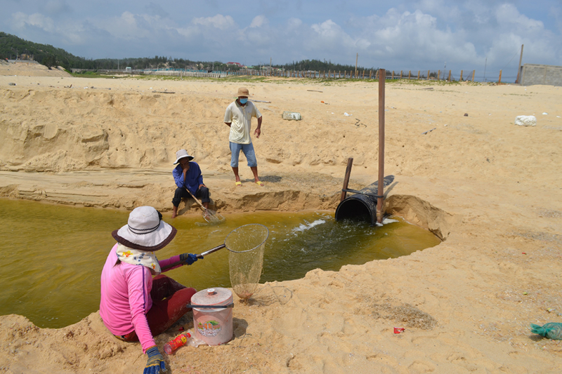 Xử phạt hai cơ sở nuôi tôm gây ô nhiễm môi trường đã được Báo CAND phản ánh -0
