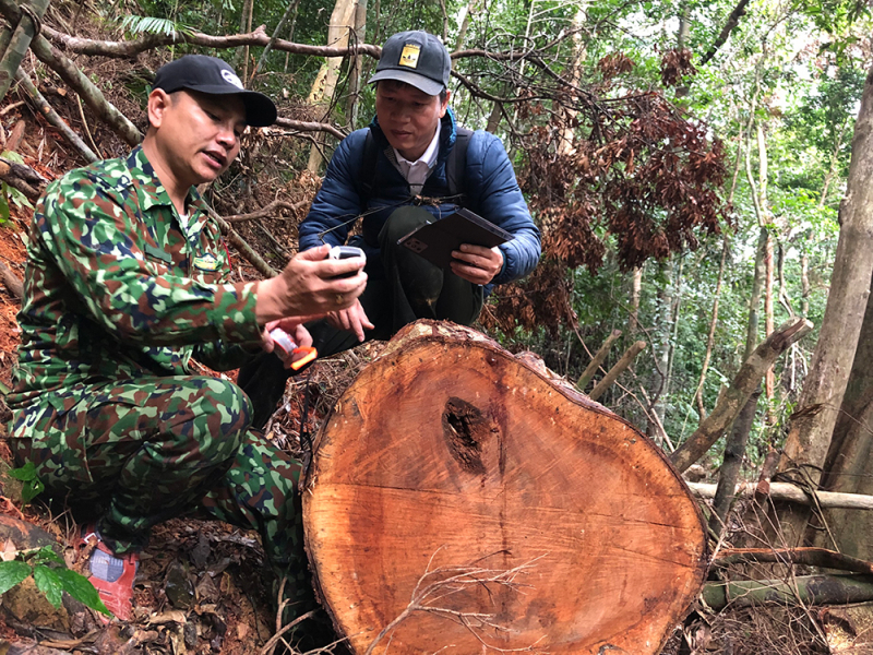 Lại chuyện “con voi chui lọt lỗ kim”(!) -0