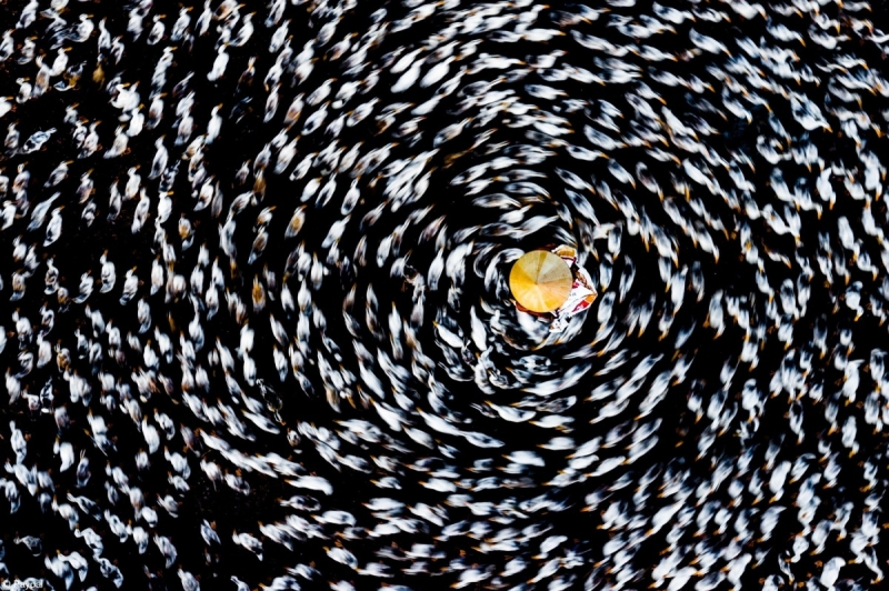 Stunning photos of Vietnam reach international awards -0