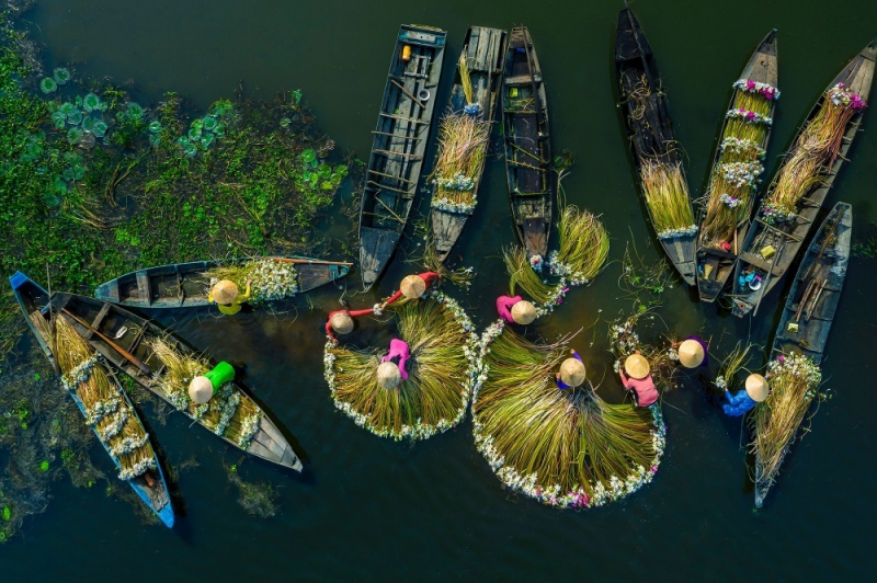 Stunning photos of Vietnam reach international awards -1