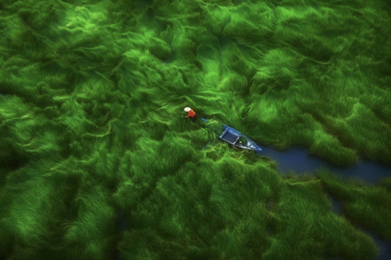 Stunning photos of Vietnam reach international awards -1