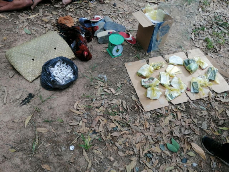 Xóa sổ trường gà trong rừng cao su -0